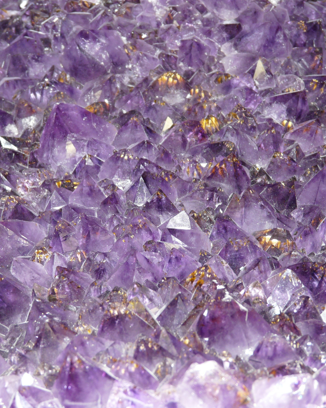 Spring Cleaning for the Soul: How to Cleanse Your Home and Invite In Good Energy