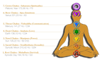 7-Piece Planetary Tuned Tuning Fork Chakra Set incl. Holder